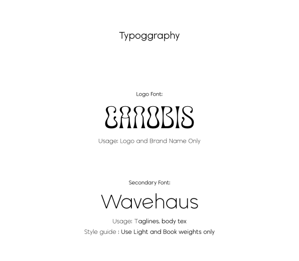 Gallery Asset 4